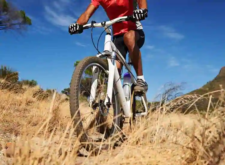 Kharaiti Lal & Co. (Regd.)