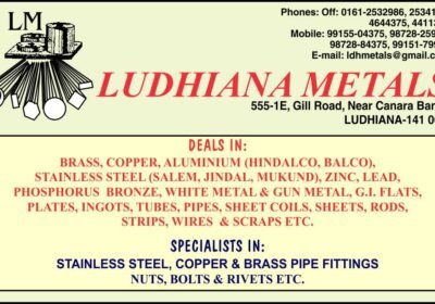 Ludhiana-Metals-1