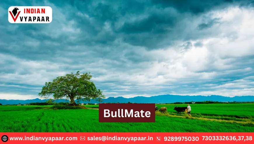 BullMate