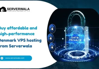 Buy-affordable-and-high-performance-Denmark-VPS-hosting-from-Serverwala