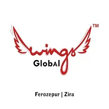 wings global WhatsApp-Image-2025-06-02-at-15.26.54_db3231e1
