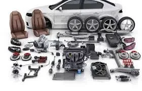 WhatsApp-Image-2025-06-27-at-12.13.26_3984a798