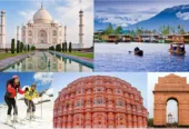 Ambition tour and travels