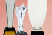 Best Trophy Manufacturer Ludhiana