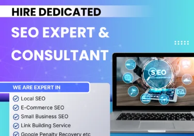 SEO-Expert-Consultant