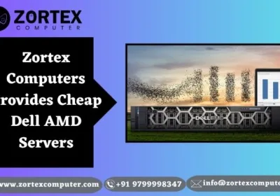 Zortex-Computers-Provides-Cheap-Dell-AMD-Servers-geotagged